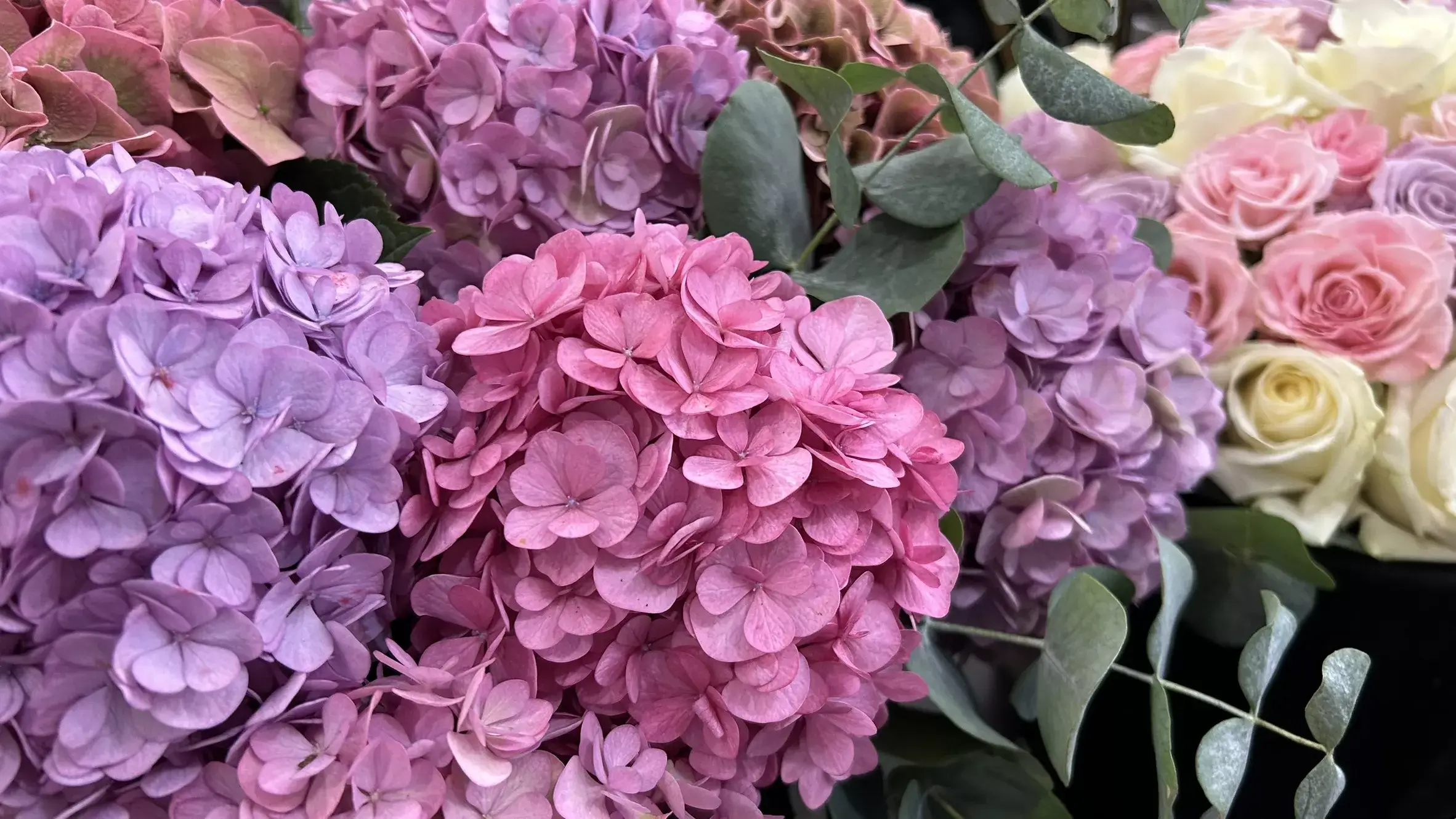 MultiRose