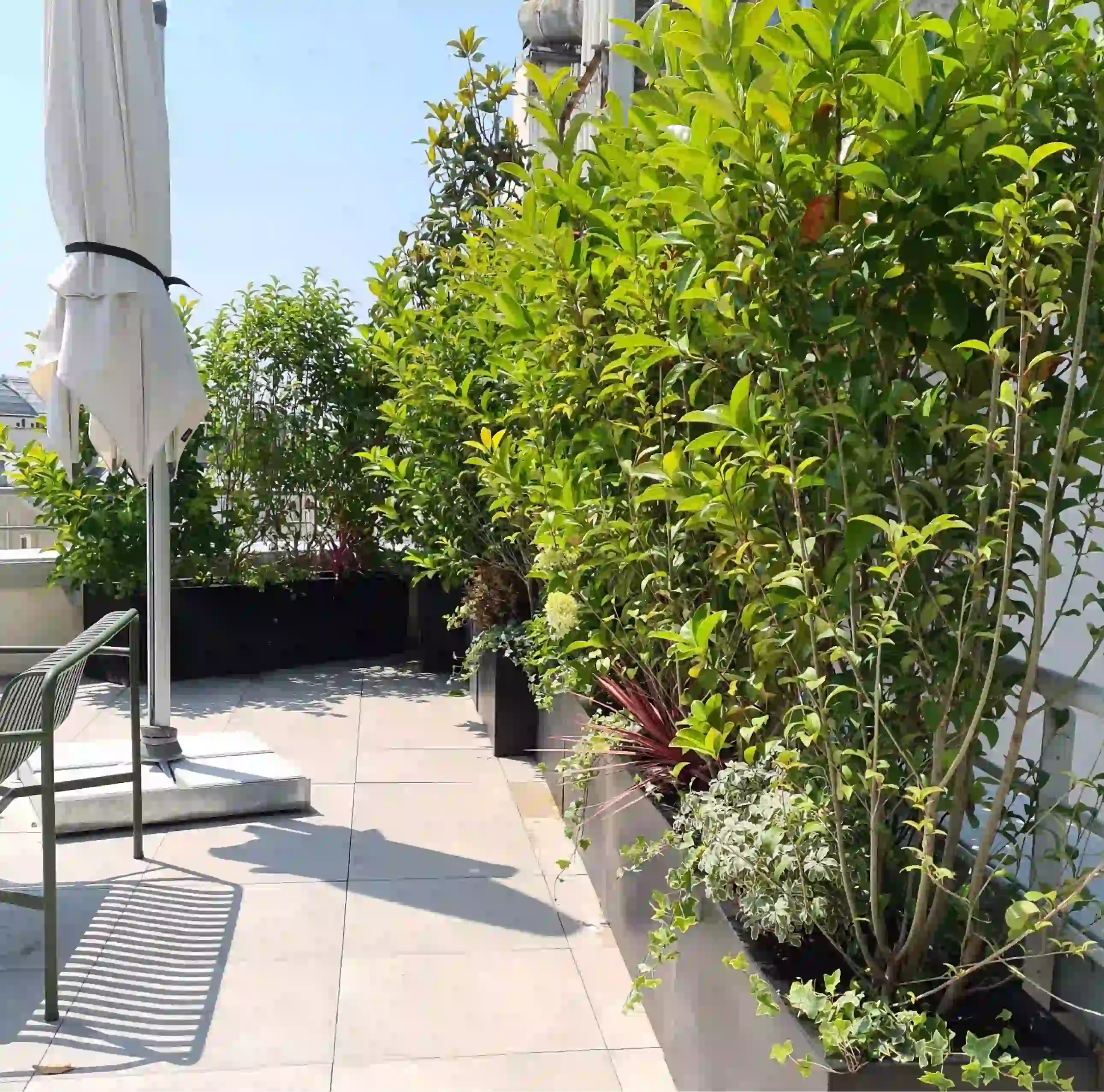 Aménagement et fleurissement terrasses et balcons Paris 12