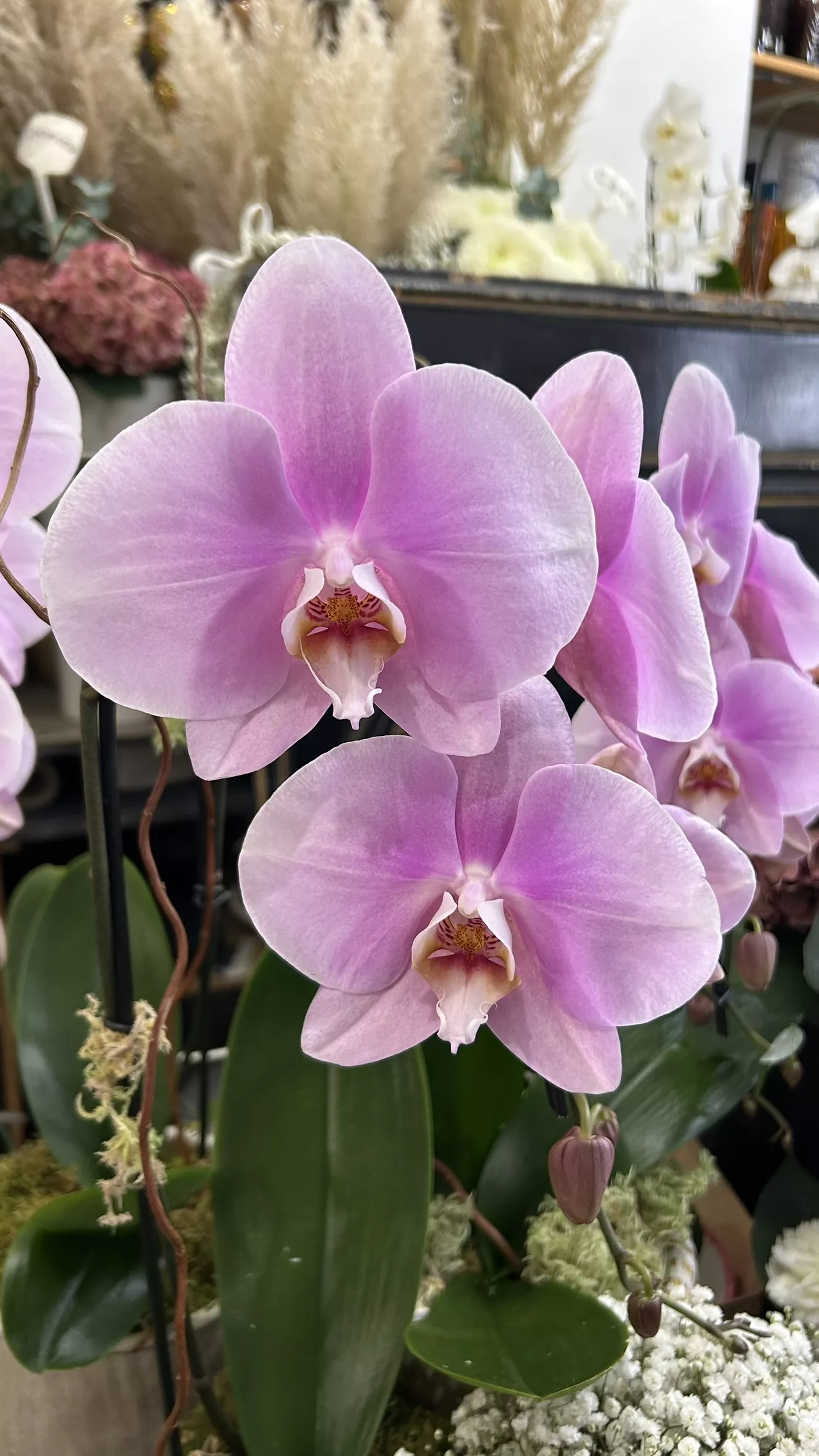 Atelier décoration florale Les Fleuristes Paris 12